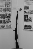 img_0665