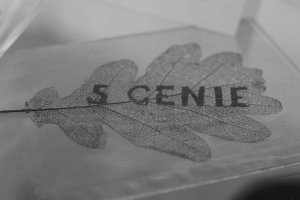 img_0735