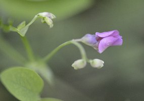 _dsc6893