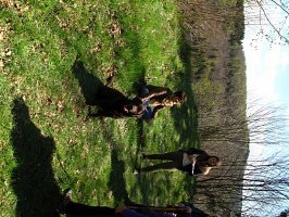 img_0427