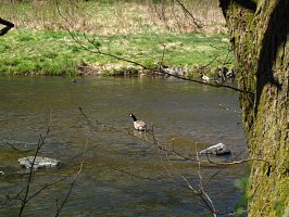 img_0431
