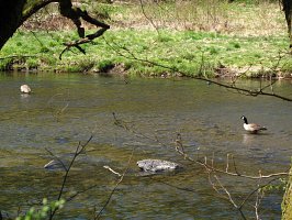 img_0432
