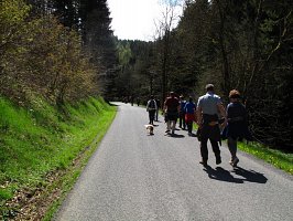 img_0461