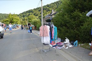dsc_0003