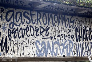 lecs1681